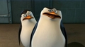 penguins-of-madagascar - Something wrong with your eye, Skippa? screencap