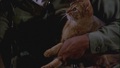 classic-disney - The Cat From Outer Space screencap