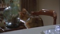 The Cat From Outer Space - classic-disney screencap