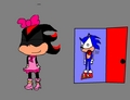 WHAT SHADOW DOES WHEN NO ONE IS HOME! - shadow-the-hedgehog photo