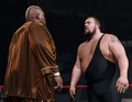 WWE Superstars - wwe photo