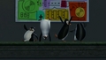 penguins-of-madagascar - Whacha!  XD screencap