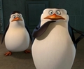 penguins-of-madagascar - XD i love that face! screencap