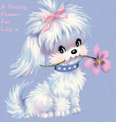  A Pretty flor For Lily x