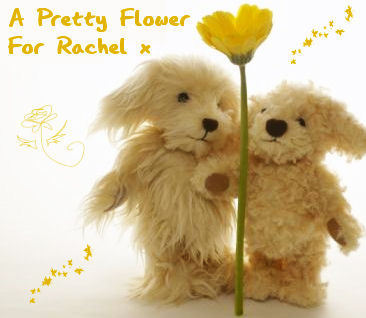  A Pretty 花 for Rachel x