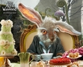 Alice in Wonderland wallpaper - tim-burton photo