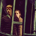 Ron & Hermione <3 - harry-potter photo