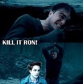 Kill It Ron - harry-potter-vs-twilight photo