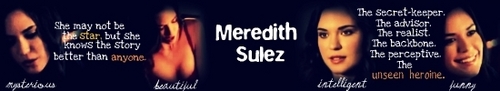  Meredith Banner