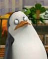 penguins-of-madagascar - Private's About to Pass Out screencap