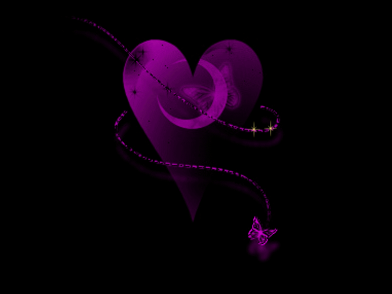 Purple Love - Purple Photo (18651788) - Fanpop