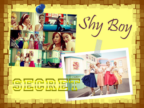 Secret_Shy Boy