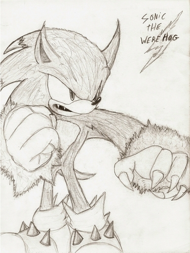  Sonic the werehog<3