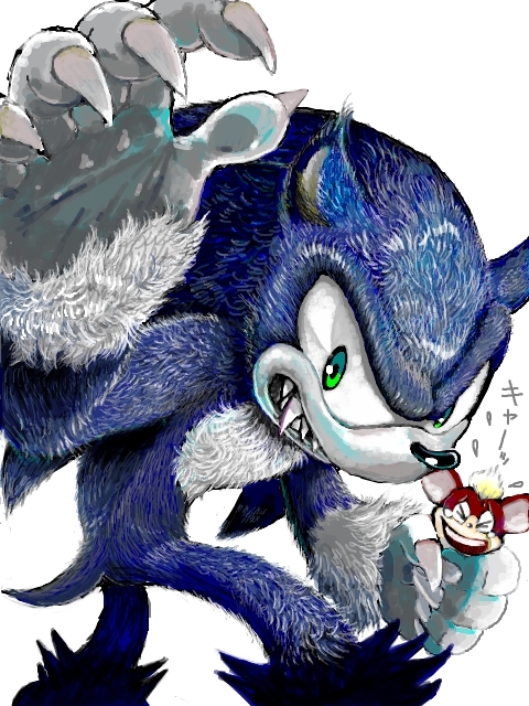 Sonic the Werehog Images on Fanpop.