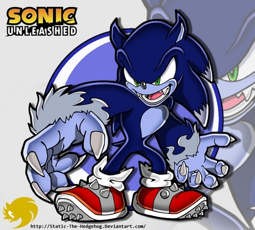Sonic the werehog