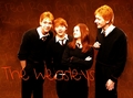 The Weasleys :) x - harry-potter-vs-twilight photo