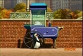 penguins-of-madagascar - There is now a snowcone machine inside the Central Park Zoo! :D screencap