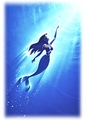 To the Surface - the-little-mermaid photo