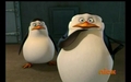 penguins-of-madagascar - Uh oh–what just happened? screencap