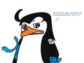 my FC : Haku - penguins-of-madagascar fan art