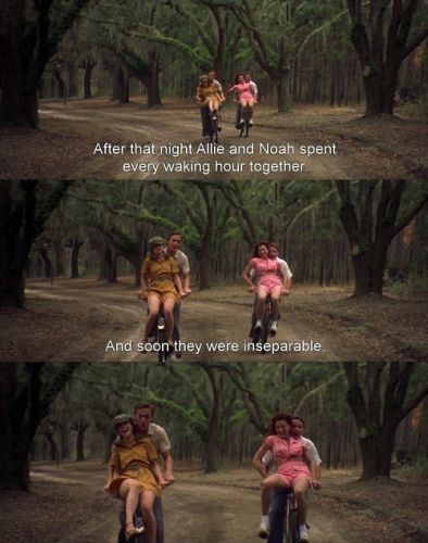  the Notebook