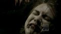 the-vampire-diaries-tv-show - 2.12 - The Descent screencap