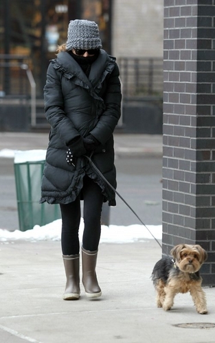 A chilly walk with Whiz in New York City 