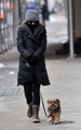 A chilly walk with Whiz in New York City  - natalie-portman photo