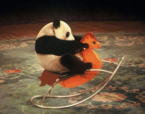  Because what's cuter than pandas?