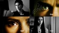 Damon and Elena - I love you - the-vampire-diaries fan art