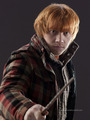 Deathly Hallows - harry-potter photo