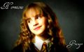 hermione-granger - H.G wallpaper