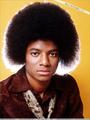 MJ with a afro xD - michael-jackson photo