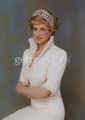 Princess Diana  - princess-diana photo