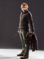 Ron (jacket off) in Deathly Hallows - harry-potter photo