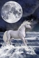 Under The Moon - unicorns photo