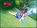 Winx cosplay - the-winx-club photo