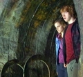 DH part 2 - Ron & Hermione in the Chamber of Secrets :)) - harry-potter photo
