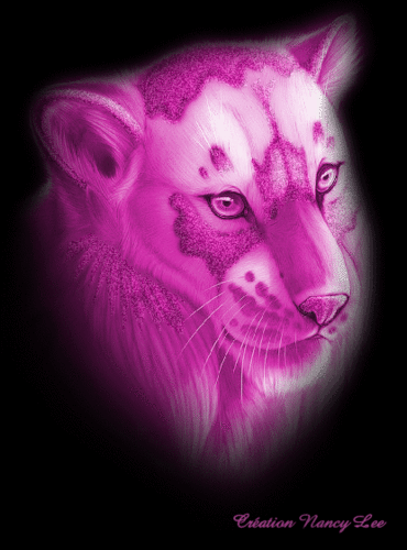  담홍색, 핑크 tiger