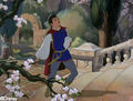 prince charming. - snow-white-and-the-seven-dwarfs photo
