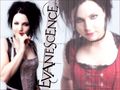 evanescence - Amy Lee wallpaper