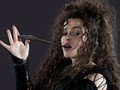 Bellatrix in Deathly Hallows - harry-potter photo