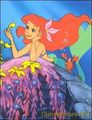 Walt Disney Images - Princess Ariel & Sebastian - disney-princess photo