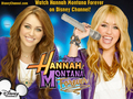 hannah-montana - Hannah Montana Forever Exclusive DISNEY BEST OF BOTH WORLDS Wallpapers by dj!!! wallpaper