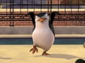 penguins-of-madagascar - Skipper Karate Kick! screencap
