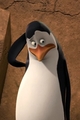 penguins-of-madagascar - My Bad screencap