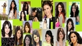 Selena Gomez Collage - selena-gomez fan art