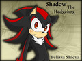 Shadow (What else is new? XD) - shadow-the-hedgehog photo