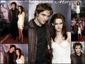 Twilight premiere - twilight-series photo