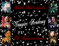 Vampire Academy - vampire-academy fan art